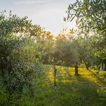 Evelina Eselboeck Дом отдыха