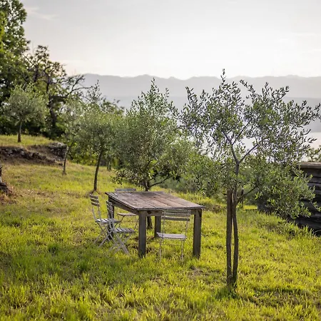 Evelina Eselboeck * אופטיה